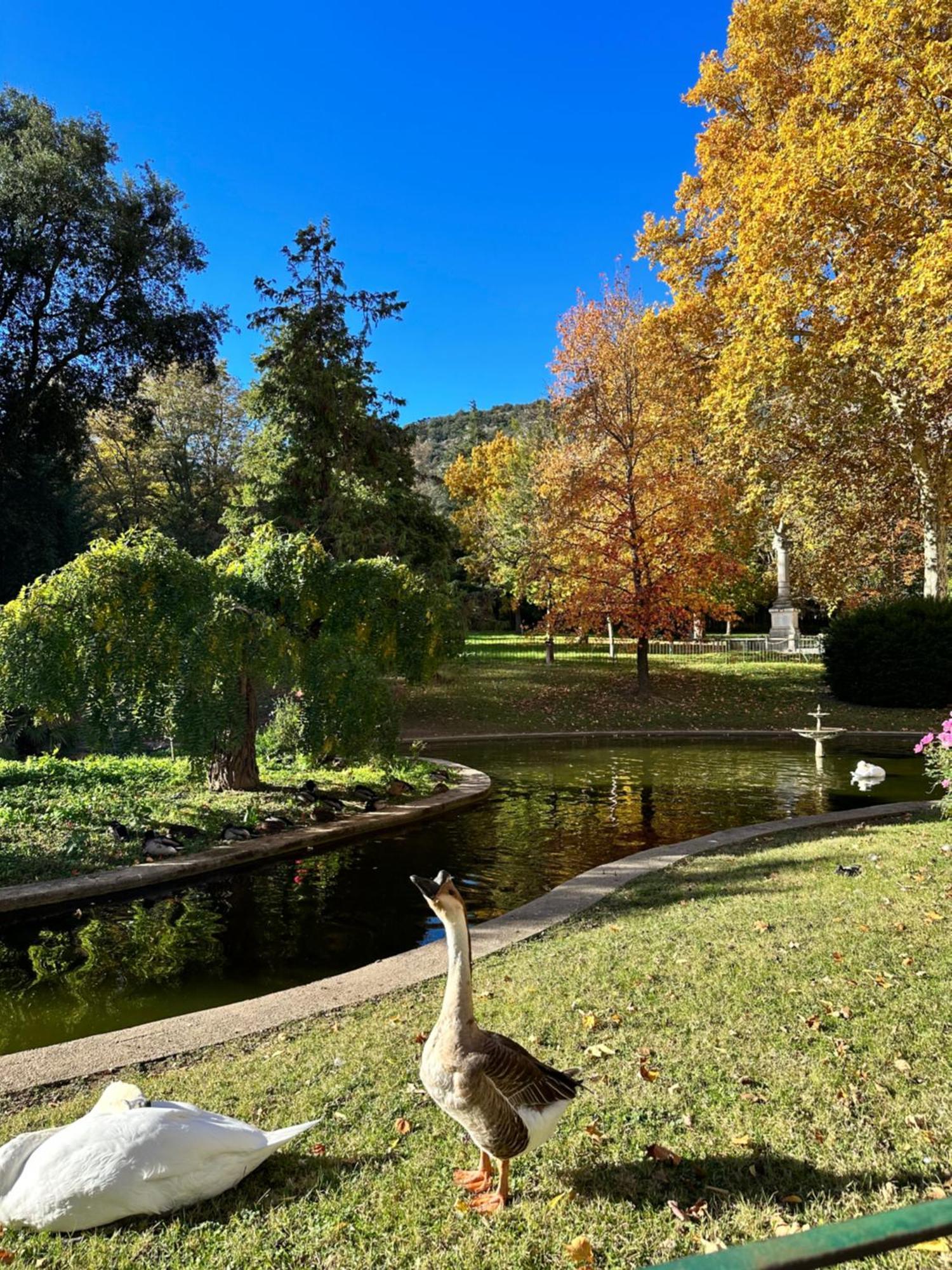 Apartament Le Perchoir Du Parc Coeur Historique Anduze Zewnętrze zdjęcie